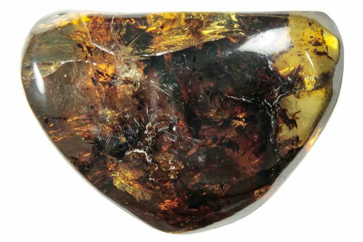 Polished Chiapas Amber ( g) - Mexico #253872